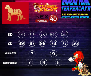 PREDIKSI NEX4D POOLS HARI INI 13 MARET 2024