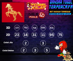 PREDIKSI NEX4D POOLS HARI INI 17 MARET 2024